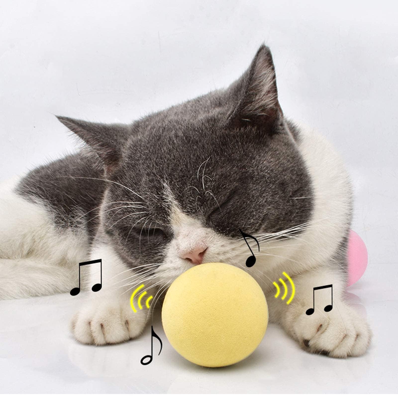Smart Cat Toys Ball Catnip Cat Training Toy Pet Playing Ball Pet Products Toy for Cats Interactive Chirping Balls Cat Kicker Toys Fun Catnip Toys for Cat Exercise Stevvex