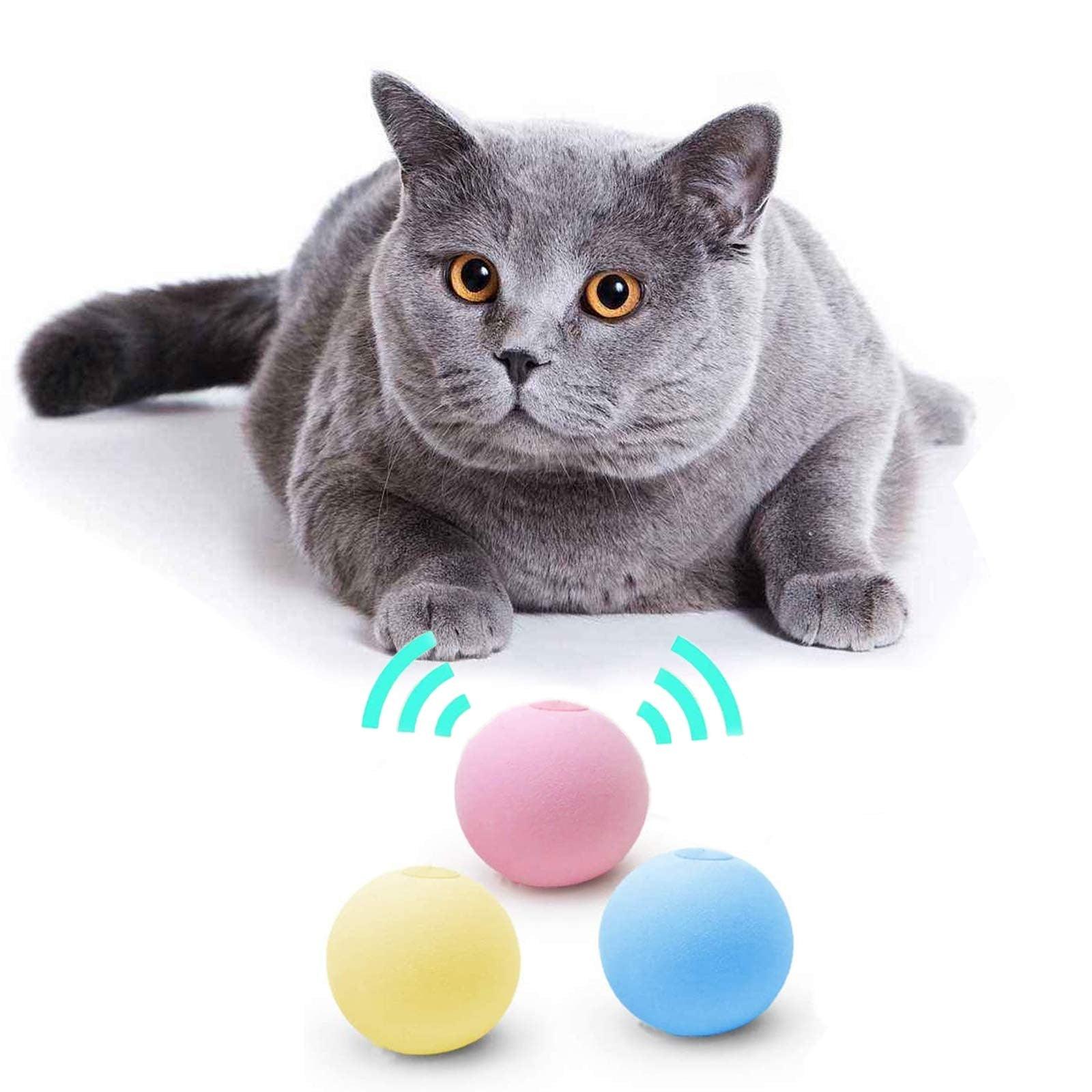 Smart Cat Toys Ball Catnip Cat Training Toy Pet Playing Ball Pet Products Toy for Cats Interactive Chirping Balls Cat Kicker Toys Fun Catnip Toys for Cat Exercise Stevvex