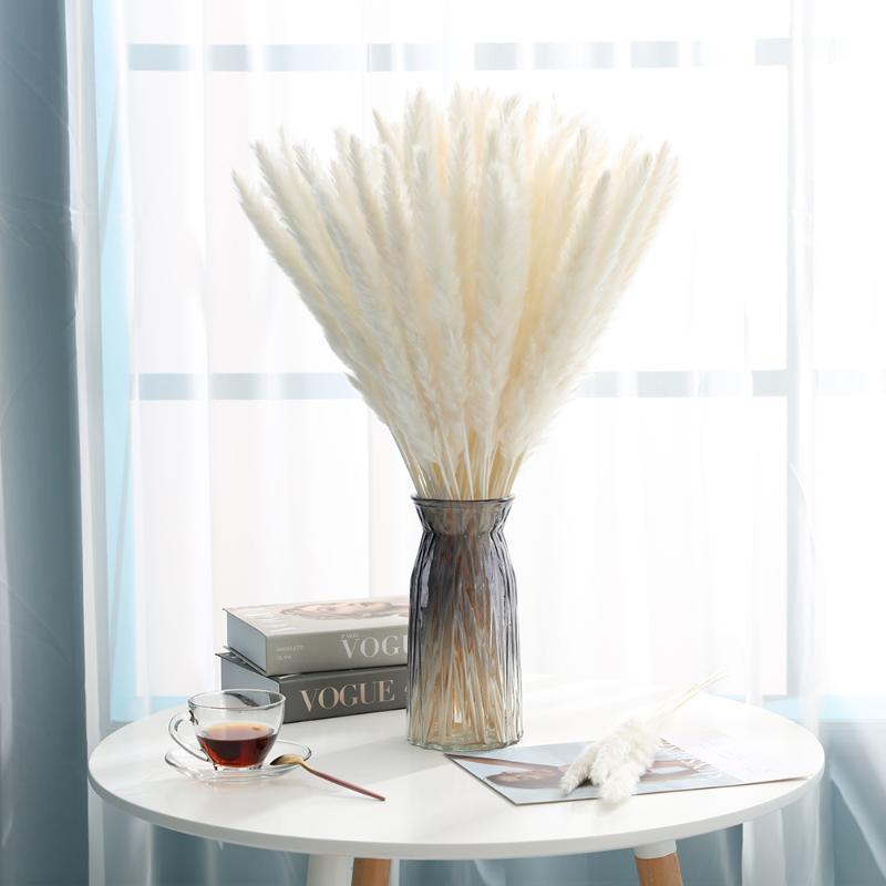 30pcs Natural Dried Pampas Grass Bouquet Pampas Grass Reeds Flowers Bulrush Bouquets Durable For for Vase Artificial Grass Room Décor Wedding Decorations Stevvex