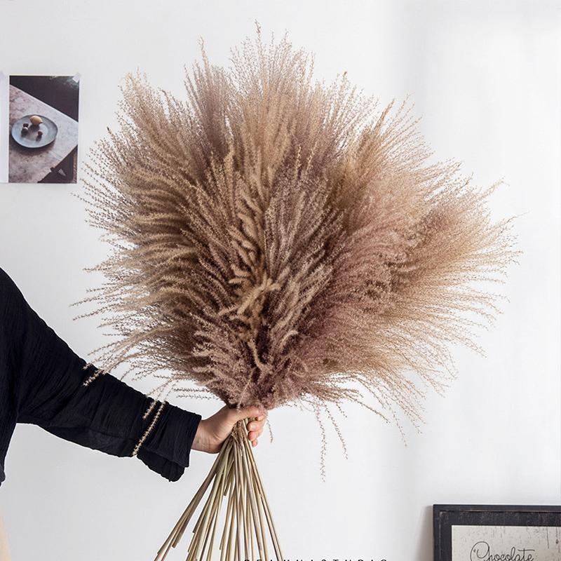 30pcs Natural Dried Pampas Grass Bouquet Pampas Grass Reeds Flowers Bulrush Bouquets Durable For for Vase Artificial Grass Room Décor Wedding Decorations Stevvex
