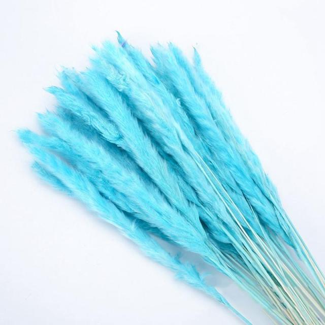 30pcs Natural Dried Pampas Grass Bouquet Pampas Grass Reeds Flowers Bulrush Bouquets Durable For for Vase Artificial Grass Room Décor Wedding Decorations Stevvex