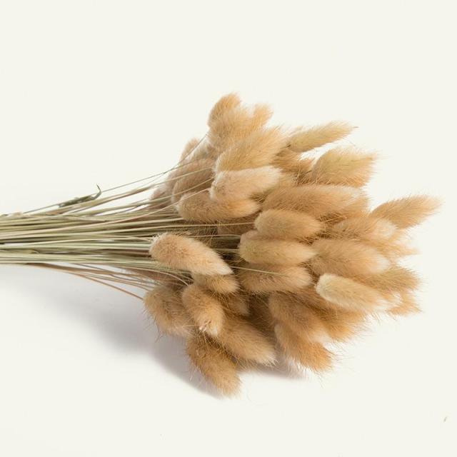 30pcs Natural Dried Pampas Grass Bouquet Pampas Grass Reeds Flowers Bulrush Bouquets Durable For for Vase Artificial Grass Room Décor Wedding Decorations Stevvex