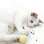 Smart Cat Toys Ball Catnip Cat Training Toy Pet Playing Ball Pet Products Toy for Cats Interactive Chirping Balls Cat Kicker Toys Fun Catnip Toys for Cat Exercise Stevvex