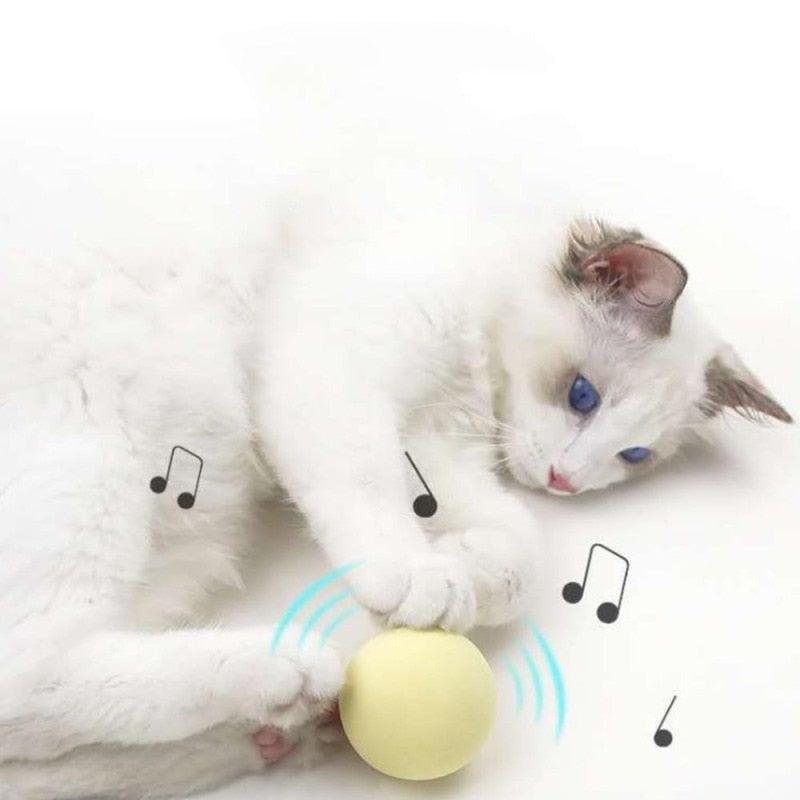 Smart Cat Toys Ball Catnip Cat Training Toy Pet Playing Ball Pet Products Toy for Cats Interactive Chirping Balls Cat Kicker Toys Fun Catnip Toys for Cat Exercise Stevvex