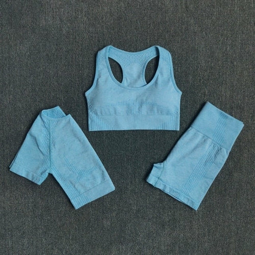 FlexFit Seamless Women’s Yoga Set: Comfort & Style - SJB-DIAMOND ELITES