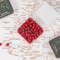 Canvas Push Pins - Red - SJB-DIAMOND ELITES