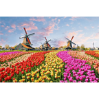 Puzzles 500 Pieces Wooden Assembling Picture Landscape Puzzles Toys For Adults Childrens Kids Games Educational Toy - SJB-DIAMOND ELITES