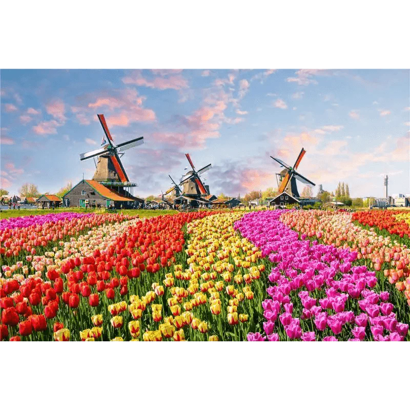 Puzzles 500 Pieces Wooden Assembling Picture Landscape Puzzles Toys For Adults Childrens Kids Games Educational Toy - SJB-DIAMOND ELITES