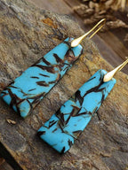 Geometrical Shape Imperial Jasper Dangle Earrings Pi-Mart