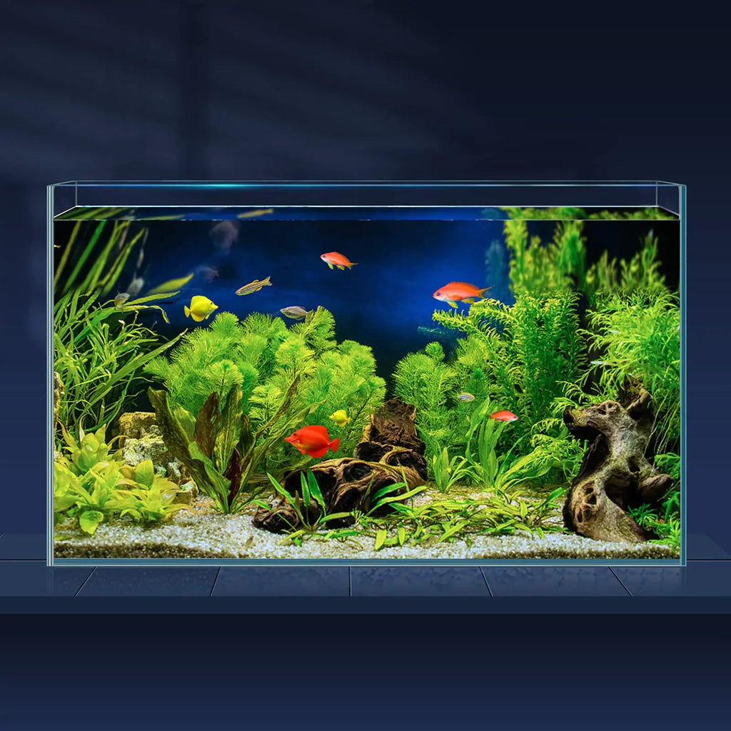 LAQUAL 10 Gallon Ultra Clear Glass Fish Tank Rimless Low Iron Aquarium for Betta/Nano/Goldfish/Snail/Shrimp Big Fish Tank & Cover Set & Feeding Ring & Cleaning Tools Lootquake LLC