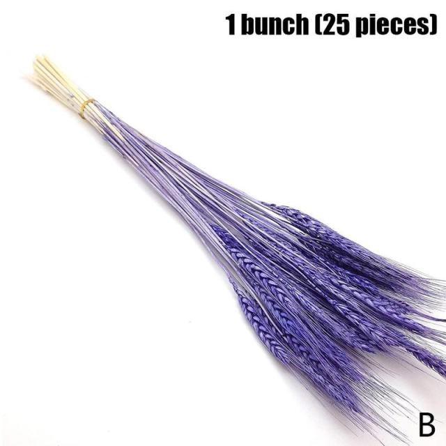Real Dried Grass Reed Flower Natural Dry Small Bulrush Bouquet Pampas Reeds Home Decoration Wedding Decor Pompass Grass Branches for Vase Artificial Grass Room Décor Wedding Decorations Stevvex