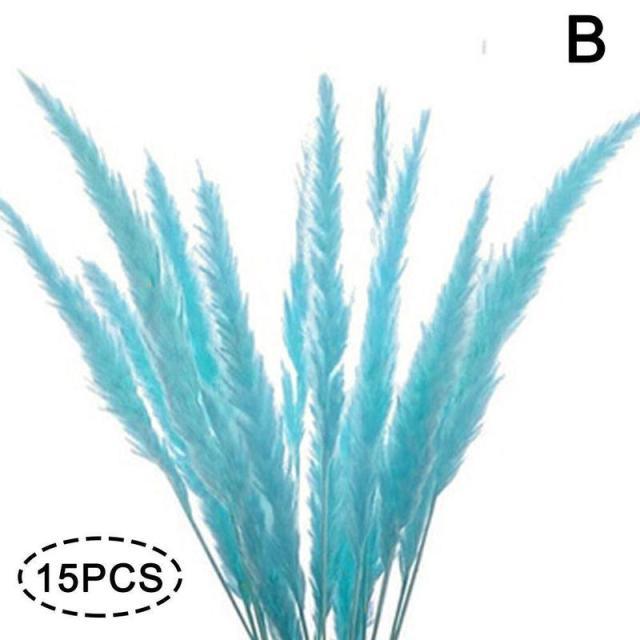 Real Dried Grass Reed Flower Natural Dry Small Bulrush Bouquet Pampas Reeds Home Decoration Wedding Decor Pompass Grass Branches for Vase Artificial Grass Room Décor Wedding Decorations Stevvex