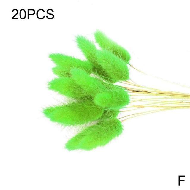 Real Dried Grass Reed Flower Natural Dry Small Bulrush Bouquet Pampas Reeds Home Decoration Wedding Decor Pompass Grass Branches for Vase Artificial Grass Room Décor Wedding Decorations Stevvex