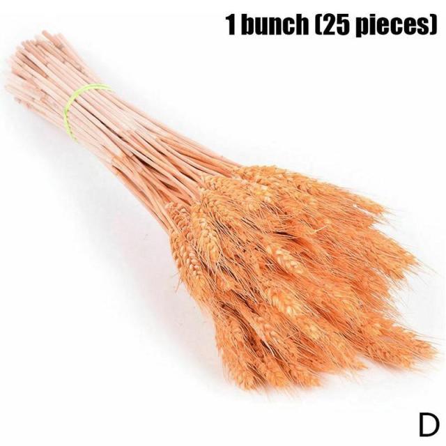 Real Dried Grass Reed Flower Natural Dry Small Bulrush Bouquet Pampas Reeds Home Decoration Wedding Decor Pompass Grass Branches for Vase Artificial Grass Room Décor Wedding Decorations Stevvex