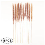 Real Dried Grass Reed Flower Natural Dry Small Bulrush Bouquet Pampas Reeds Home Decoration Wedding Decor Pompass Grass Branches for Vase Artificial Grass Room Décor Wedding Decorations Stevvex