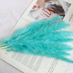 Real Dried Grass Reed Flower Natural Dry Small Bulrush Bouquet Pampas Reeds Home Decoration Wedding Decor Pompass Grass Branches for Vase Artificial Grass Room Décor Wedding Decorations Stevvex