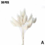 Real Dried Grass Reed Flower Natural Dry Small Bulrush Bouquet Pampas Reeds Home Decoration Wedding Decor Pompass Grass Branches for Vase Artificial Grass Room Décor Wedding Decorations Stevvex