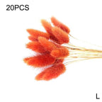 Real Dried Grass Reed Flower Natural Dry Small Bulrush Bouquet Pampas Reeds Home Decoration Wedding Decor Pompass Grass Branches for Vase Artificial Grass Room Décor Wedding Decorations Stevvex