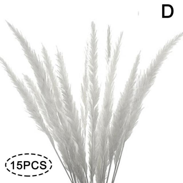 Real Dried Grass Reed Flower Natural Dry Small Bulrush Bouquet Pampas Reeds Home Decoration Wedding Decor Pompass Grass Branches for Vase Artificial Grass Room Décor Wedding Decorations Stevvex