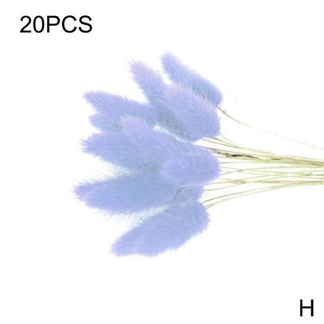 Real Dried Grass Reed Flower Natural Dry Small Bulrush Bouquet Pampas Reeds Home Decoration Wedding Decor Pompass Grass Branches for Vase Artificial Grass Room Décor Wedding Decorations Stevvex
