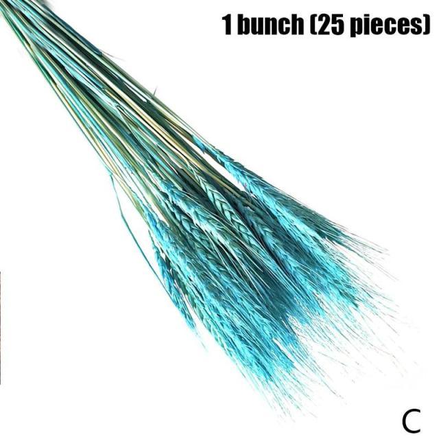 Real Dried Grass Reed Flower Natural Dry Small Bulrush Bouquet Pampas Reeds Home Decoration Wedding Decor Pompass Grass Branches for Vase Artificial Grass Room Décor Wedding Decorations Stevvex