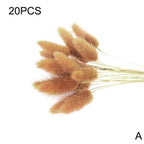 Real Dried Grass Reed Flower Natural Dry Small Bulrush Bouquet Pampas Reeds Home Decoration Wedding Decor Pompass Grass Branches for Vase Artificial Grass Room Décor Wedding Decorations Stevvex
