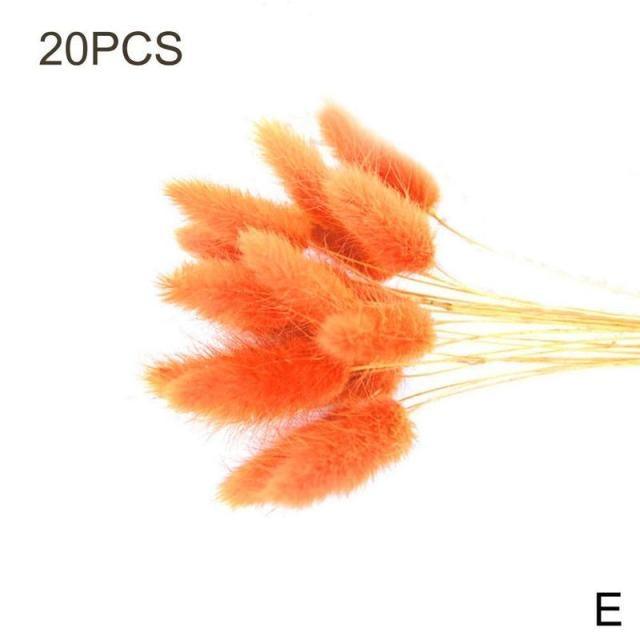 Real Dried Grass Reed Flower Natural Dry Small Bulrush Bouquet Pampas Reeds Home Decoration Wedding Decor Pompass Grass Branches for Vase Artificial Grass Room Décor Wedding Decorations Stevvex
