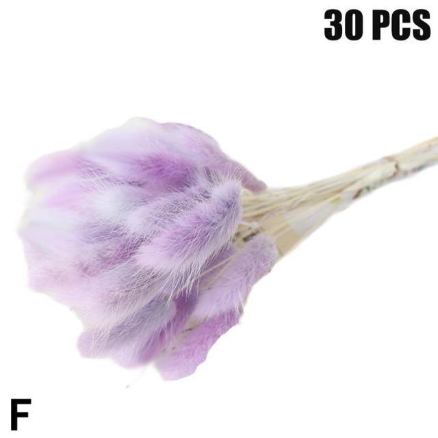 Real Dried Grass Reed Flower Natural Dry Small Bulrush Bouquet Pampas Reeds Home Decoration Wedding Decor Pompass Grass Branches for Vase Artificial Grass Room Décor Wedding Decorations Stevvex