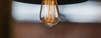 Retro Edison Light Bulb Vintage Edison Lamp Vintage Incandescent  Edison Light Bulbs Edison Filament Light Bulb Dimmable Warm White Different Shape Light Stevvex