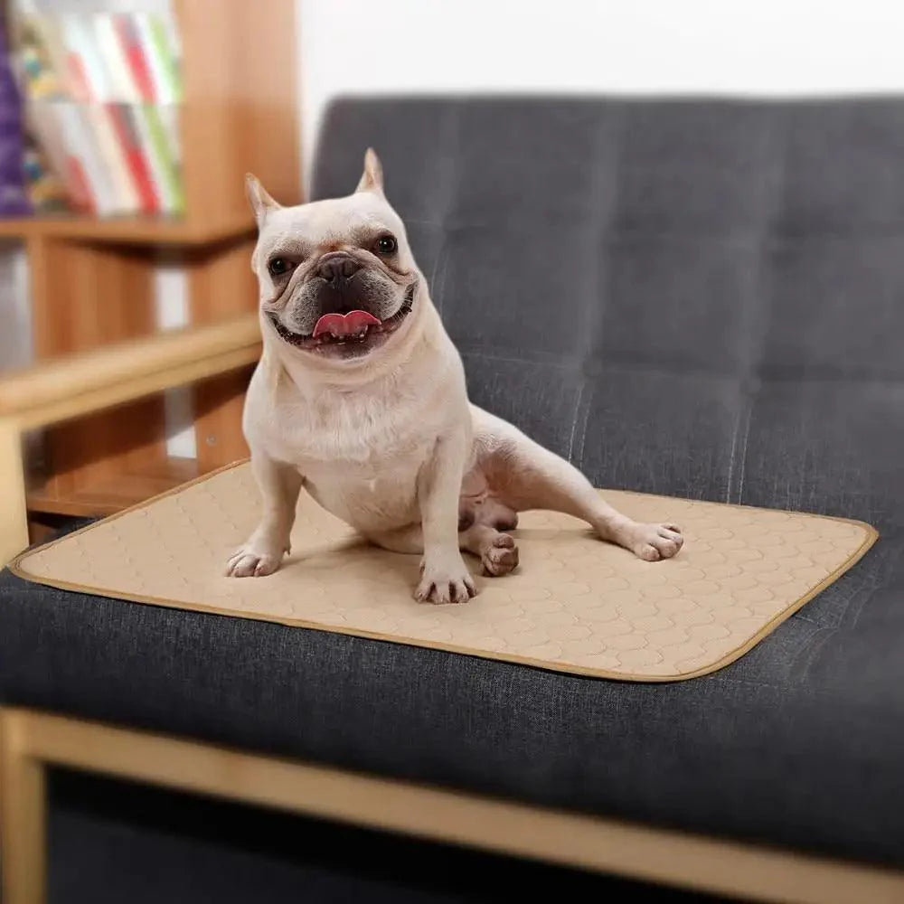 Reuseable Dog Pee Pads Dog Diapers Puppy Waterproof Mat For Pets - Washable Training Pads for Dogs Cats Rabbit Stevvex