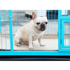 Reuseable Dog Pee Pads Dog Diapers Puppy Waterproof Mat For Pets - Washable Training Pads for Dogs Cats Rabbit Stevvex