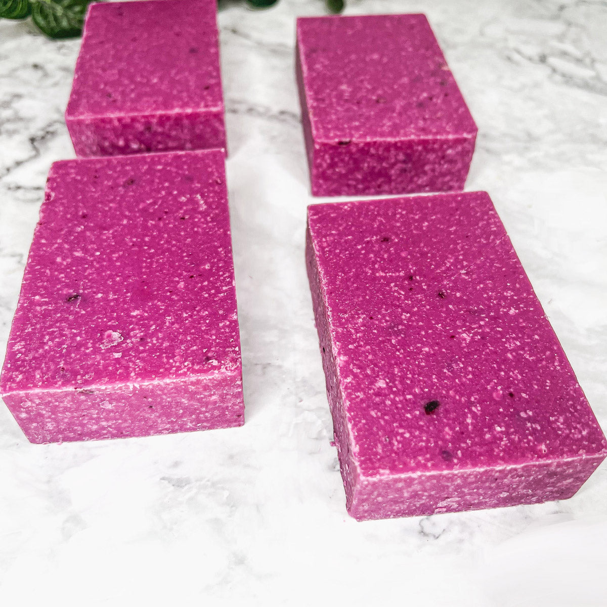 Sage Citrus Sea Salt Scrub with Oatmeal Exfoliant, Calming Aromatherapy BandsCo Straps