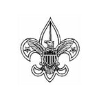 Scout Deluxe Awards and Flag Display Case The Military Gift Store