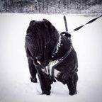 The ''Platinum'' harness - SJB-DIAMOND ELITES