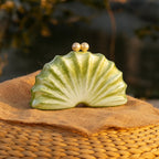 Shell Acrylic Clutch Evening Bag (MAC300)