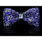 Shiny Butterfly Men Bowtie Sparkling Wedding Bridegroom Bow Ties  Adjustable Length Party Bowties Stevvex