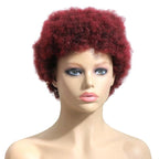 Short Afro Curly Human Hair Full Machine Wigs for Women 150% Density Short Hair Pixie Cut Wig Remy Human Hair Afro Wig For Black Women Gifts for Girlfriends Stevvex