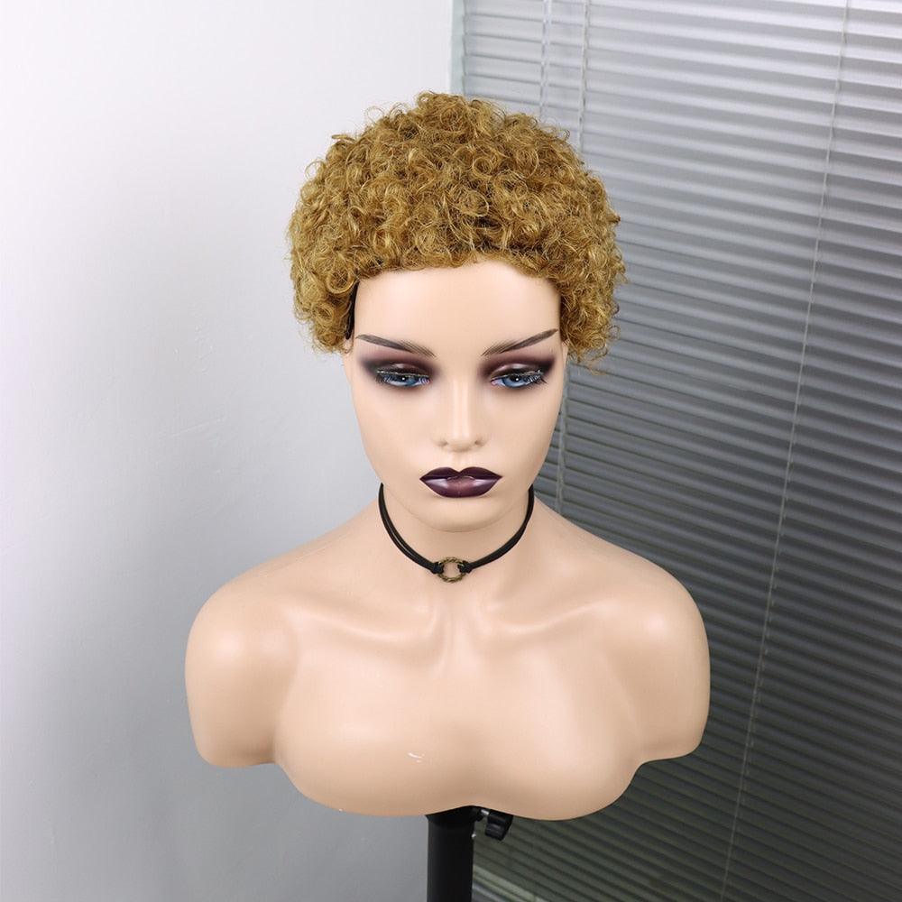 Short Curly Hair Wigs Pixie Cut Brazilian Human Hair For Black Women Natural Black 150% Density Glueless Afro Kinky Curly Human Hair Wig For Black Women Gifts for Girlfriends Stevvex