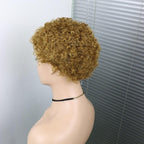 Short Curly Hair Wigs Pixie Cut Brazilian Human Hair For Black Women Natural Black 150% Density Glueless Afro Kinky Curly Human Hair Wig For Black Women Gifts for Girlfriends Stevvex