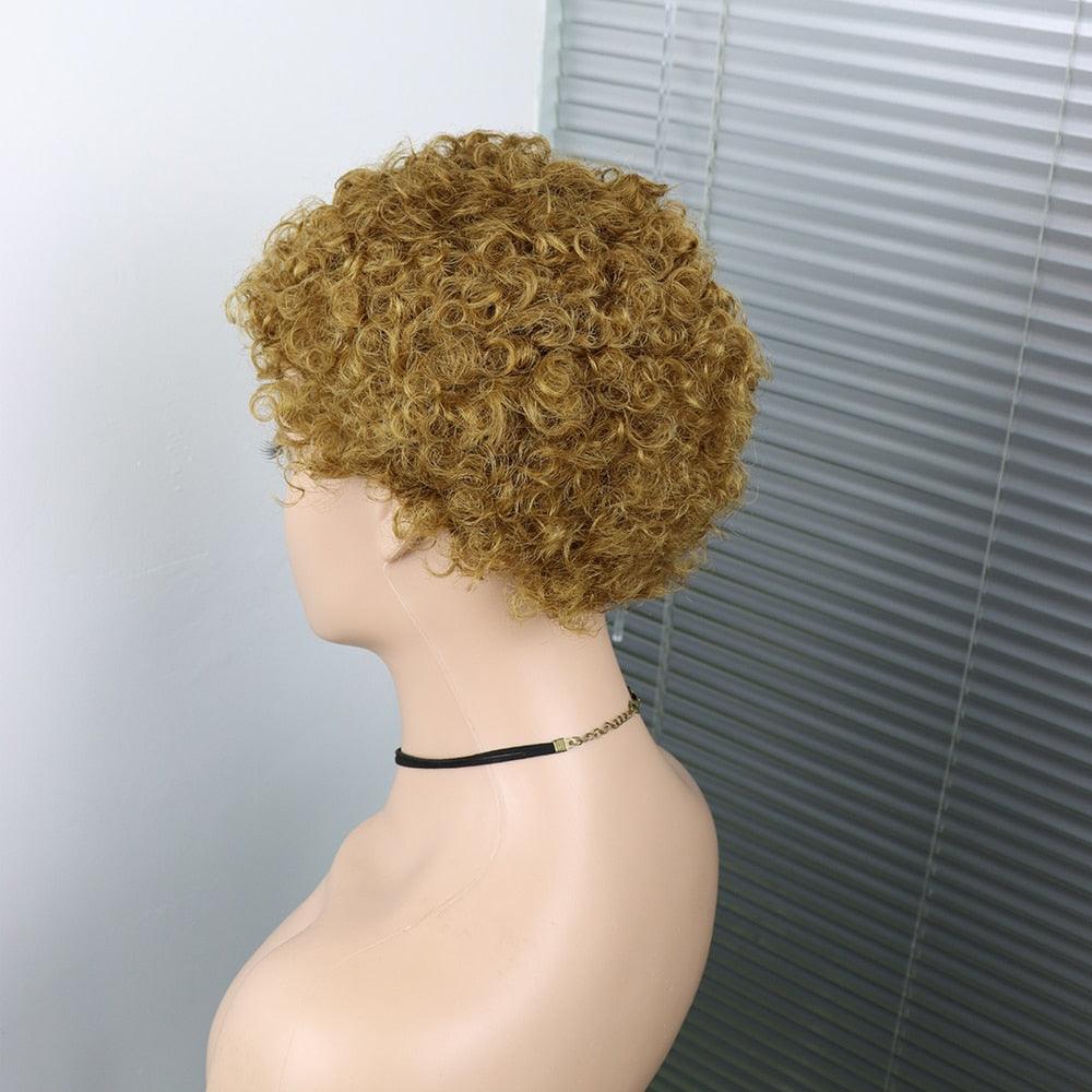 Short Curly Hair Wigs Pixie Cut Brazilian Human Hair For Black Women Natural Black 150% Density Glueless Afro Kinky Curly Human Hair Wig For Black Women Gifts for Girlfriends Stevvex