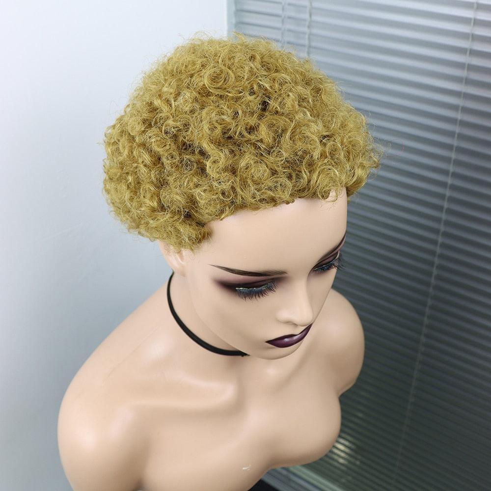 Short Curly Hair Wigs Pixie Cut Brazilian Human Hair For Black Women Natural Black 150% Density Glueless Afro Kinky Curly Human Hair Wig For Black Women Gifts for Girlfriends Stevvex