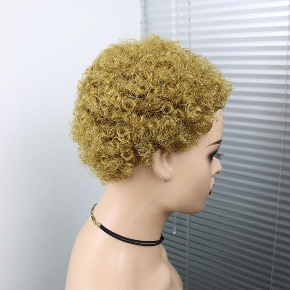Short Curly Hair Wigs Pixie Cut Brazilian Human Hair For Black Women Natural Black 150% Density Glueless Afro Kinky Curly Human Hair Wig For Black Women Gifts for Girlfriends Stevvex