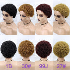 Short Curly Hair Wigs Pixie Cut Brazilian Human Hair For Black Women Natural Black 150% Density Glueless Afro Kinky Curly Human Hair Wig For Black Women Gifts for Girlfriends Stevvex