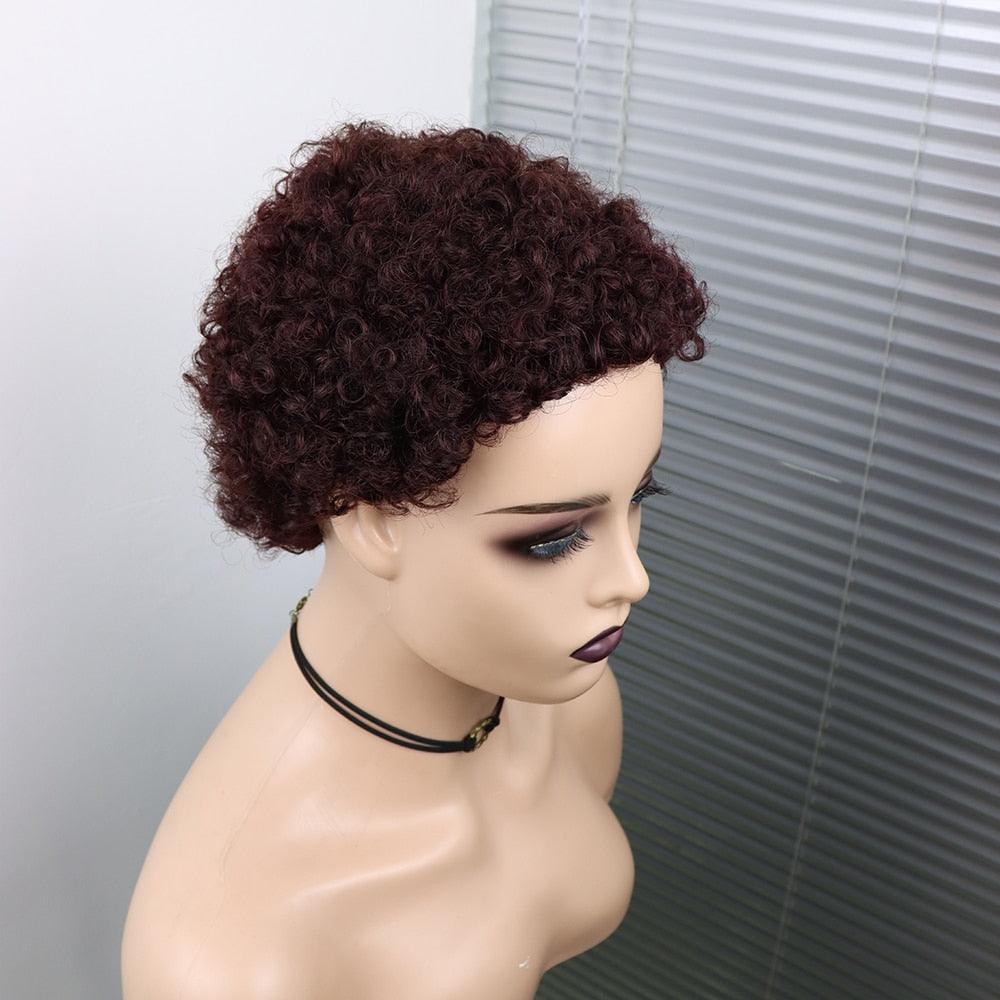 Short Curly Hair Wigs Pixie Cut Brazilian Human Hair For Black Women Natural Black 150% Density Glueless Afro Kinky Curly Human Hair Wig For Black Women Gifts for Girlfriends Stevvex