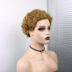 Short Curly Hair Wigs Pixie Cut Brazilian Human Hair For Black Women Natural Black 150% Density Glueless Afro Kinky Curly Human Hair Wig For Black Women Gifts for Girlfriends Stevvex
