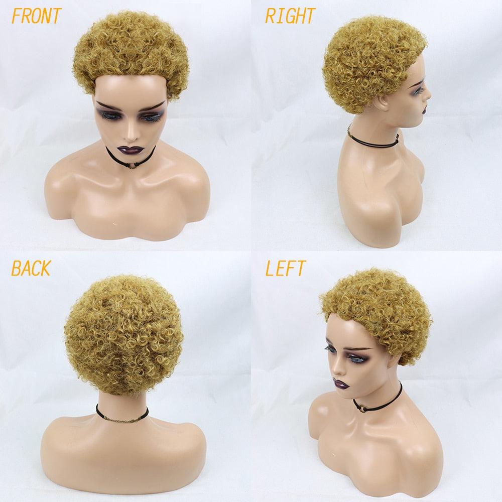 Short Curly Hair Wigs Pixie Cut Brazilian Human Hair For Black Women Natural Black 150% Density Glueless Afro Kinky Curly Human Hair Wig For Black Women Gifts for Girlfriends Stevvex