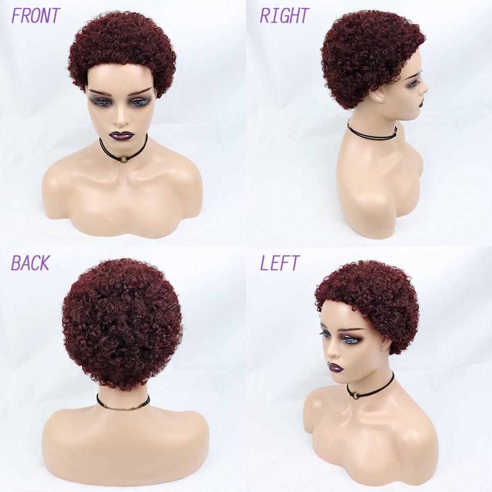 Short Curly Hair Wigs Pixie Cut Brazilian Human Hair For Black Women Natural Black 150% Density Glueless Afro Kinky Curly Human Hair Wig For Black Women Gifts for Girlfriends Stevvex