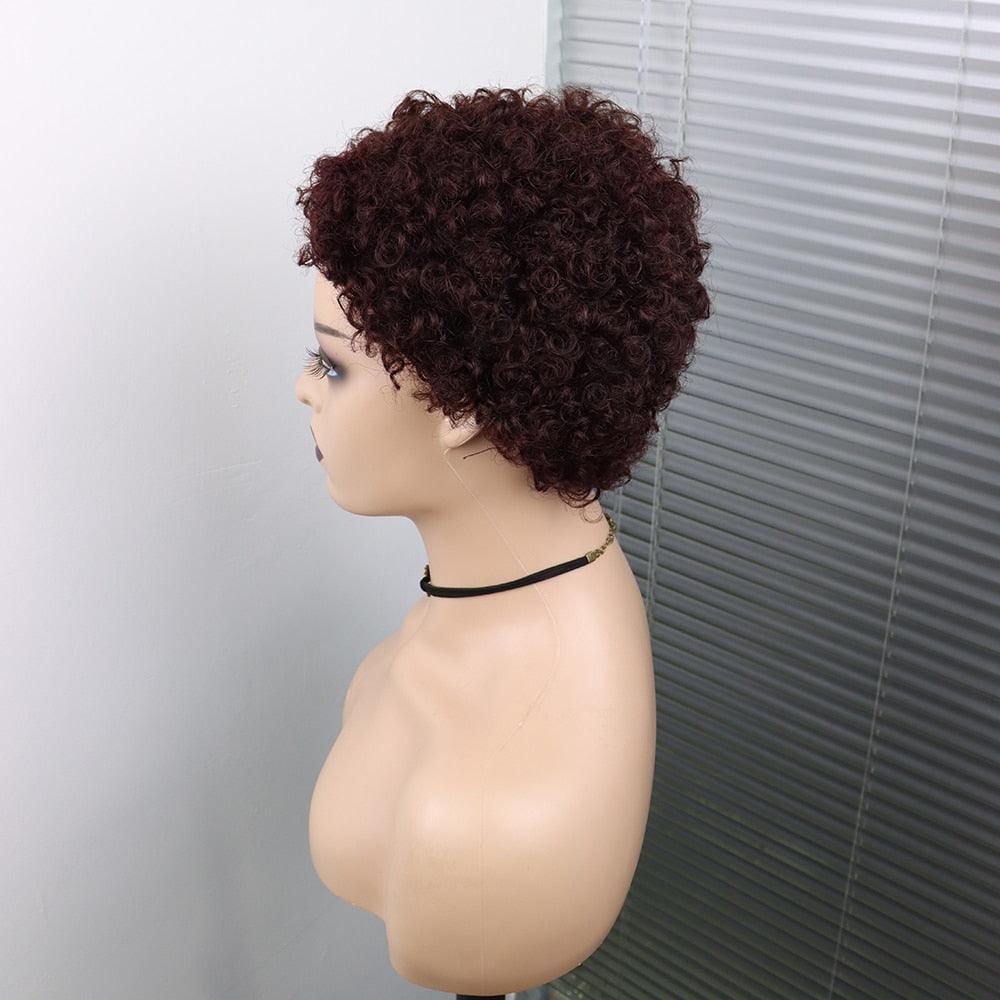 Short Curly Hair Wigs Pixie Cut Brazilian Human Hair For Black Women Natural Black 150% Density Glueless Afro Kinky Curly Human Hair Wig For Black Women Gifts for Girlfriends Stevvex