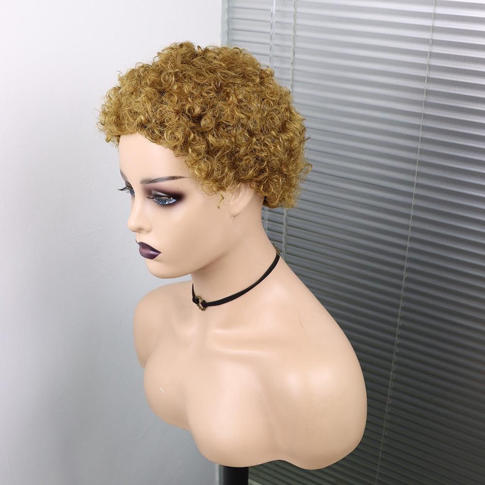 Short Curly Hair Wigs Pixie Cut Brazilian Human Hair For Black Women Natural Black 150% Density Glueless Afro Kinky Curly Human Hair Wig For Black Women Gifts for Girlfriends Stevvex
