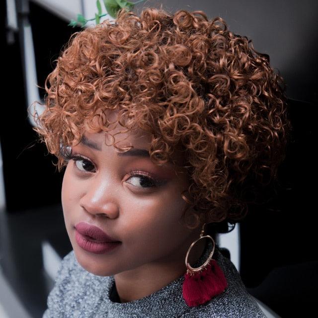 Short Curly Human Hair Wigs Pixie Cut Wigs Lace Front Wigs for Women Remy Hair Wig for Women Pre Plucked with Baby Hair Wigs For Black Women Gifts for Girlfriends Stevvex